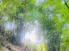 -亚婆田·白水寨生态旅游度假区