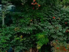 -BUND·FIVE外滩5号(天际店)