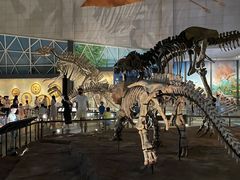 -湖南省地质博物馆