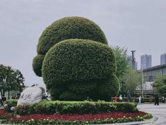 -汉口江滩-江滩观星台