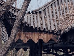 -郑州中国绿化博览园