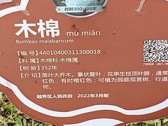 -广州中山纪念堂