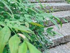 -唐御宴•御宴宫•唐代菜点(芙蓉西路店)