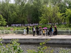 -曹州牡丹园