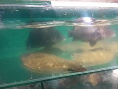 -蟹谢蒸鲜自助餐厅