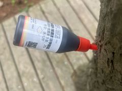 -朱家尖南沙景点