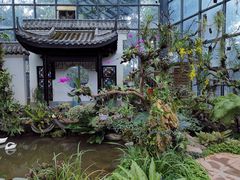 -东莞植物园