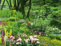 -上海共青森林公园