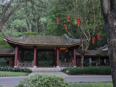 -顺峰山公园