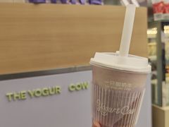 -一只酸奶牛(洪崖洞11楼店)