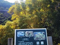 -福道