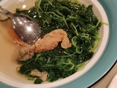 -上海总会SHANGHAICLUB(兴业太古汇店)