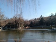 -西安市长乐公园