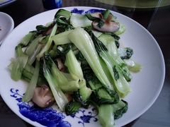 -范记靖远羊羔肉(博物馆店)