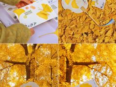 -承恩寺
