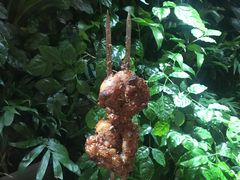 -肉串汪(望京店)