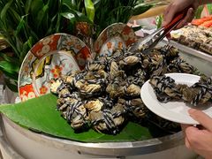 -五月罗马海鲜自助餐厅(陆家嘴店)