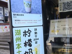 -猫的魔法密林(衣裳街店)
