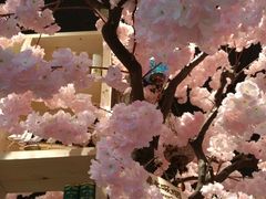 -糯雅芳粥(东亭店)