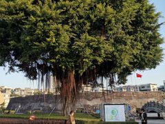 -石炮台公园