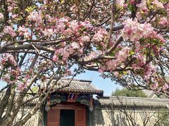 -北京颐和宾馆