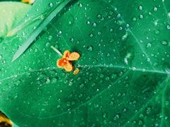 -天津东丽湖风景区