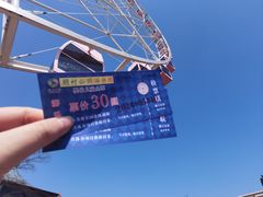 -顾村公园
