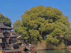 -乌镇西栅景区