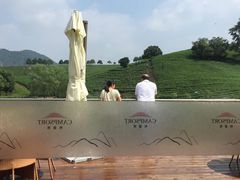 -帐篷客·溪龙茶谷度假酒店