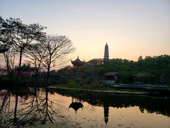 -顺峰山公园