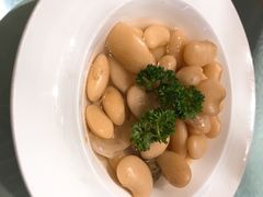 -四季春