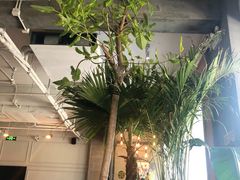 -the rug 飞毯 (朝阳公园店)