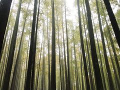 -山王坪喀斯特国家生态公园