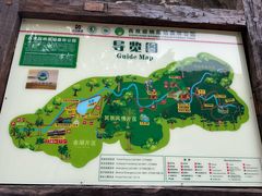 -西双版纳原始森林公园