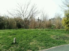 -白鹭湾湿地公园