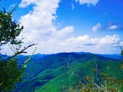 -天女山森林公园