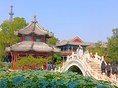 -莲池书院博物馆