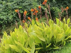 -羊山湖公园
