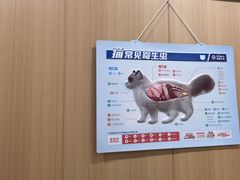 -米苏动物医院·犬猫专科·骨科外科内窥镜