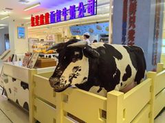 -红星前进面包牛奶公司(君太店)