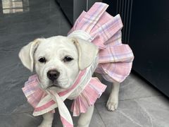 -龙山烧肉(万象城店)