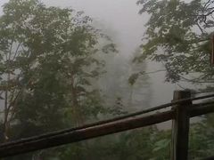 -凤凰山国家森林公园