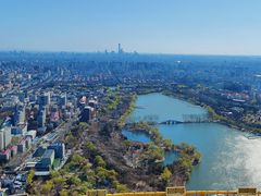 -中央广播电视塔