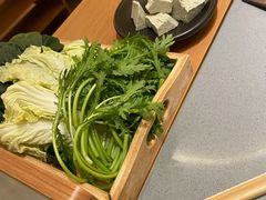 蔬菜拼盘-巴奴毛肚火锅(悠唐购物中心店)