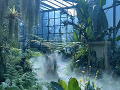 -东莞植物园