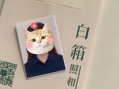 -白箱照相馆·外拍
