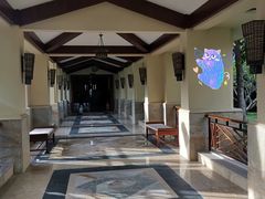 -三亚亚龙湾天域度假酒店