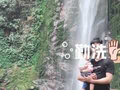 -莫里热带雨林景区