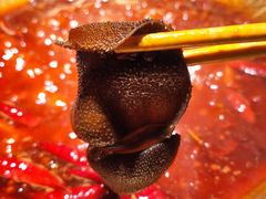 -小龙坎火锅(IFS HOT店)