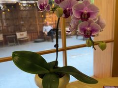 -佛有缘素食馆·荔湾老字号(陈家祠首店)